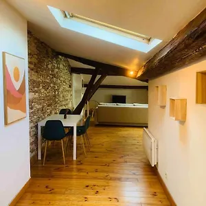  Appartement Spacieux En Plein Coeur De Castres